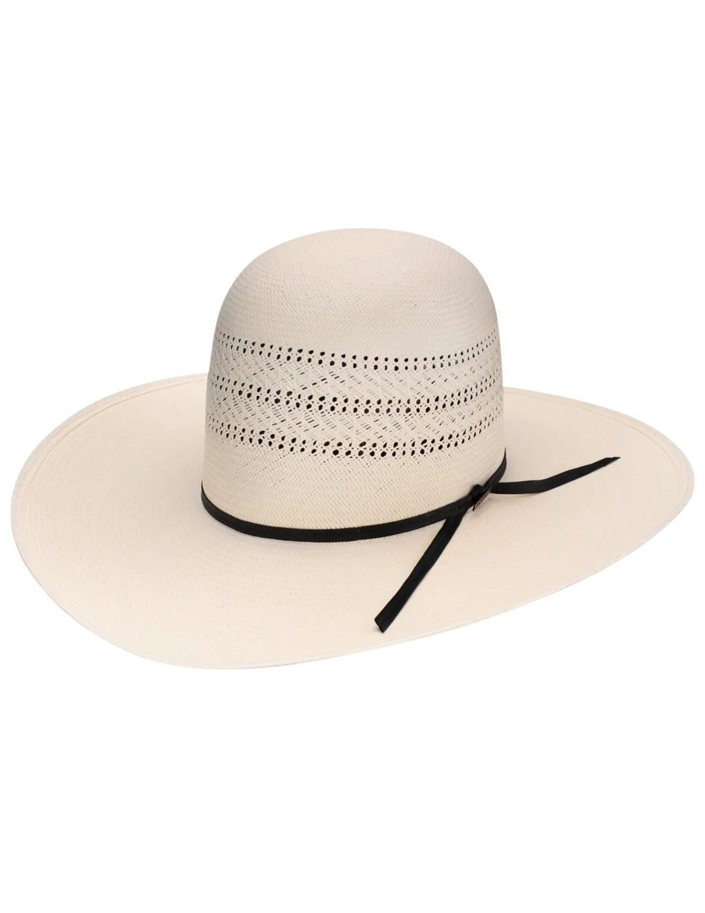 Resistol 20X Chase 4 1/2" Brim Cowboy Hat