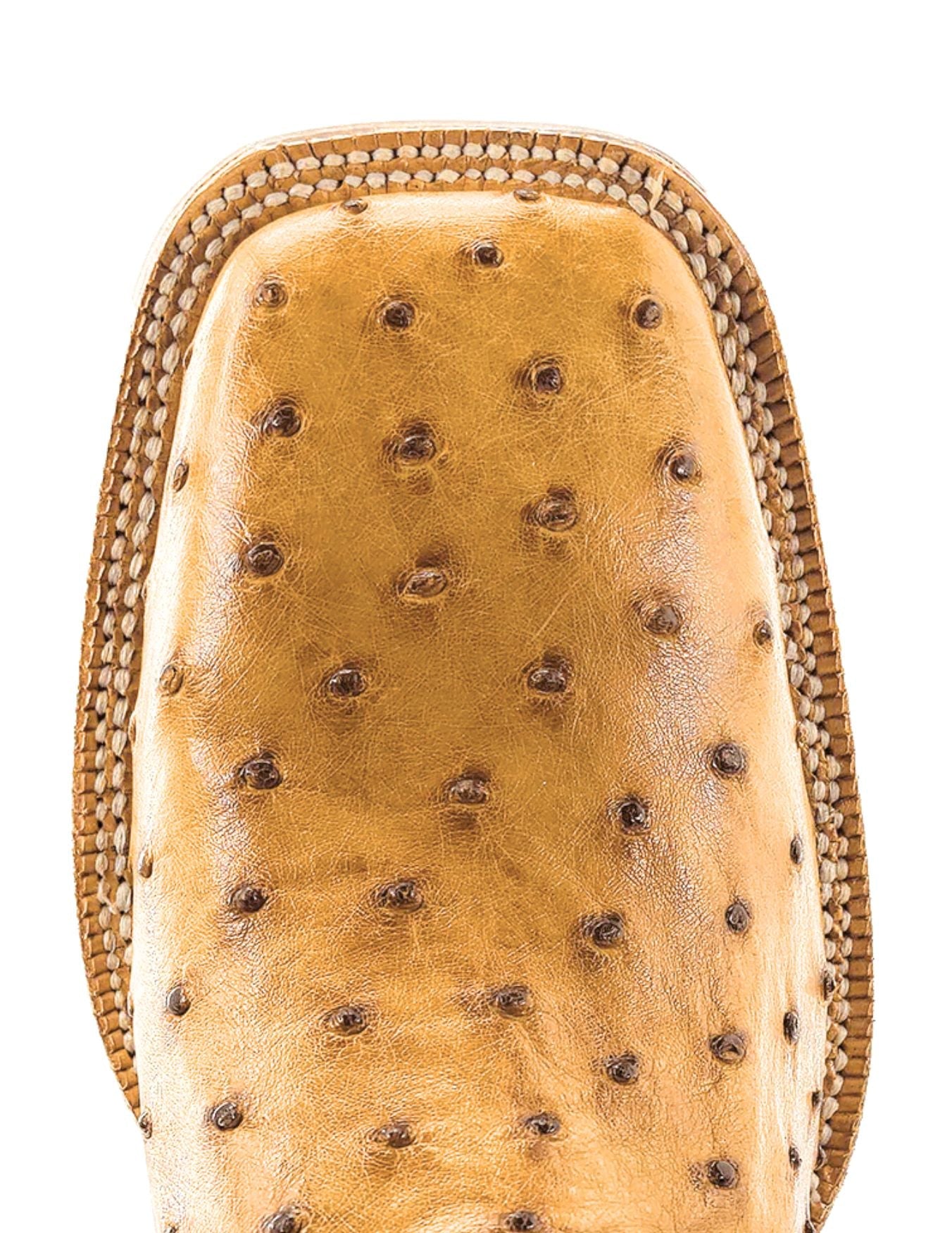 R. Watson Mens Antique Saddle Full Quill Ostrich Boots